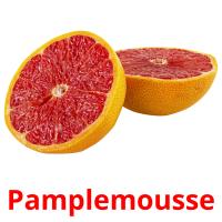 Pamplemousse picture flashcards