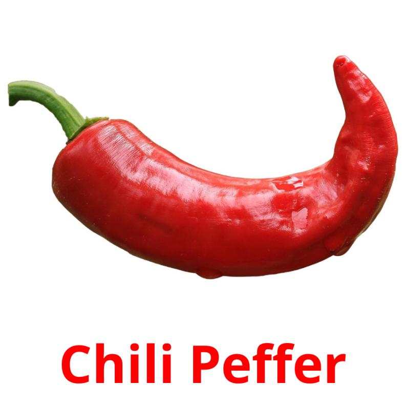 Chili Peffer flashcards illustrate