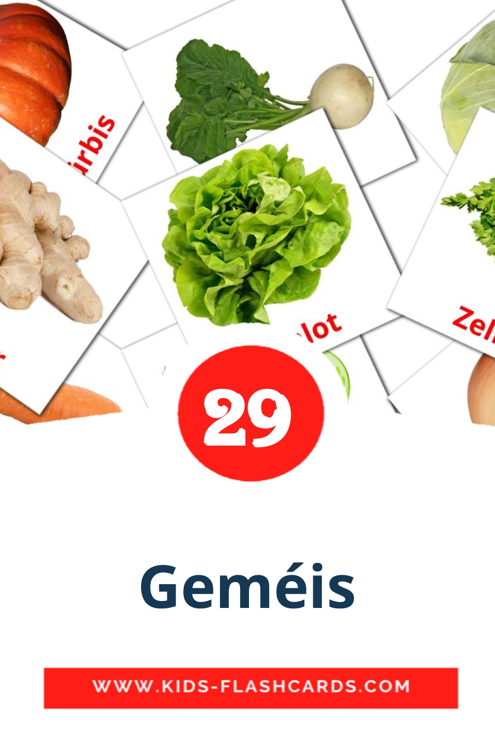 29 Geméis Picture Cards for Kindergarden in luxembourgish