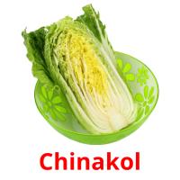 Chinakol flashcards illustrate