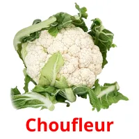 Choufleur Tarjetas didacticas