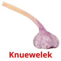 Knuewelek flashcards illustrate