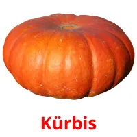 Kürbis Tarjetas didacticas