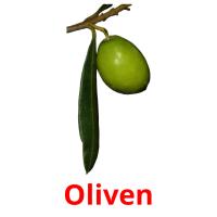 Oliven flashcards illustrate