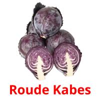 Roude Kabes picture flashcards