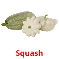 Squash Tarjetas didacticas