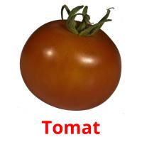 Tomat flashcards illustrate