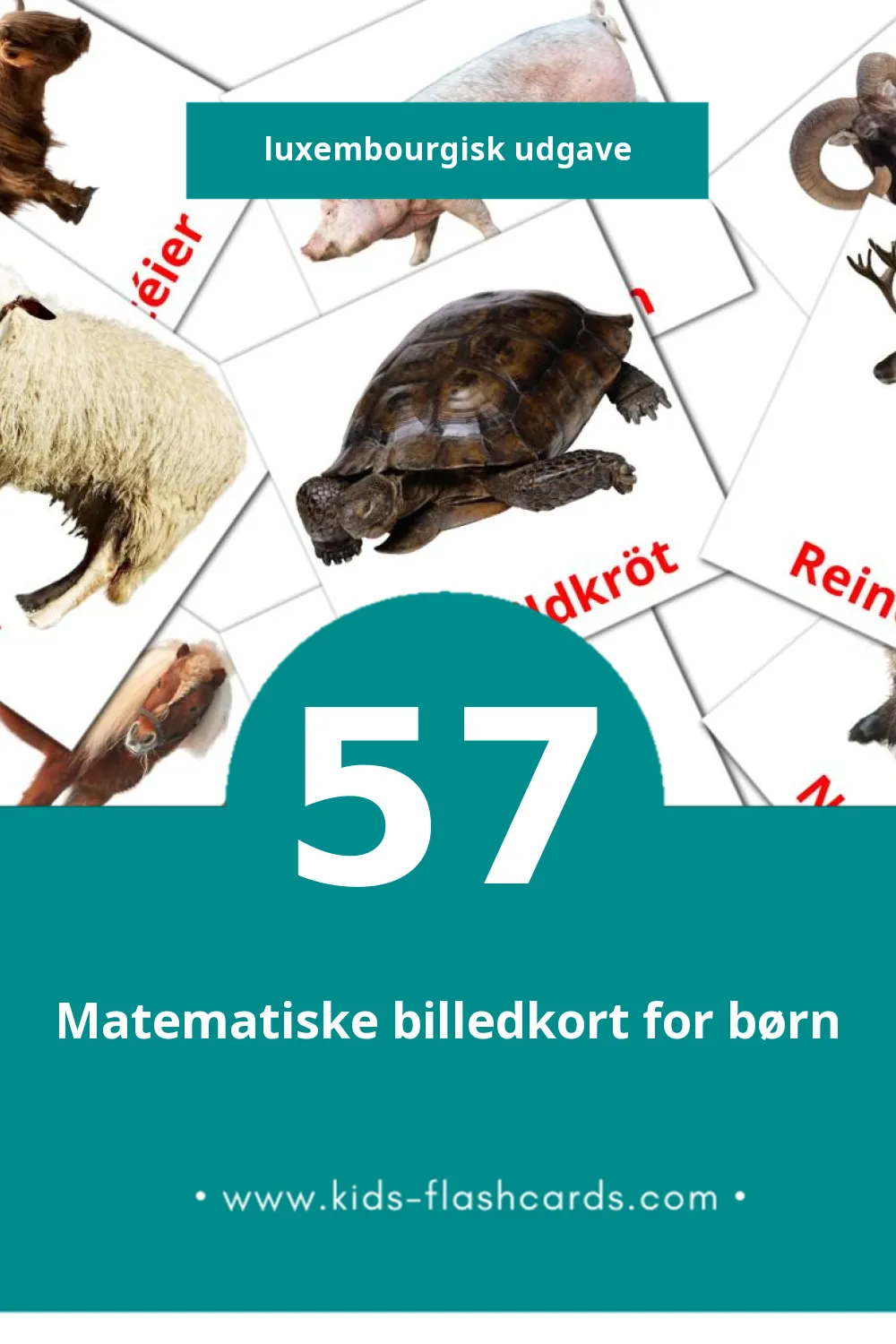 Visuelle billedkort for børn om Déieren til småbørn (57 kort på Luxembourgisk)
