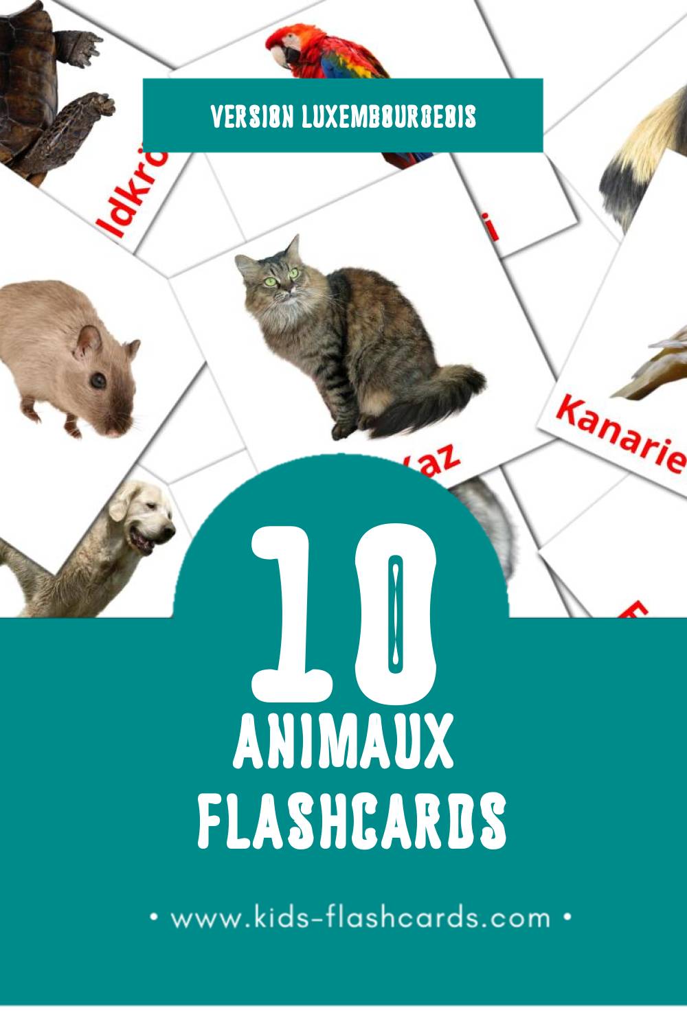 Flashcards Visual Déieren pour les tout-petits (10 cartes en Luxembourgeois)