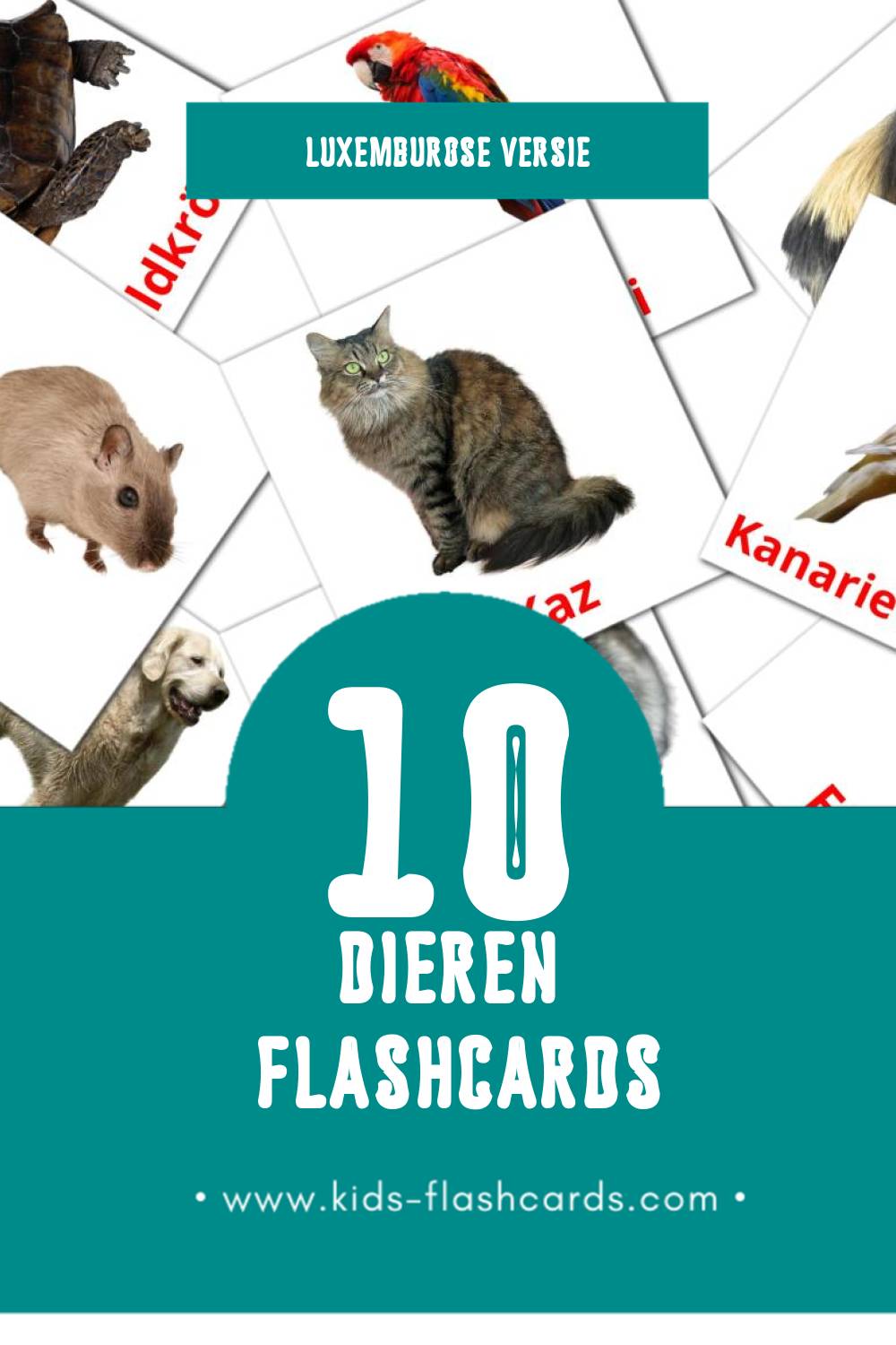 Visuele Déieren Flashcards voor Kleuters (10 kaarten in het Luxemburgs)