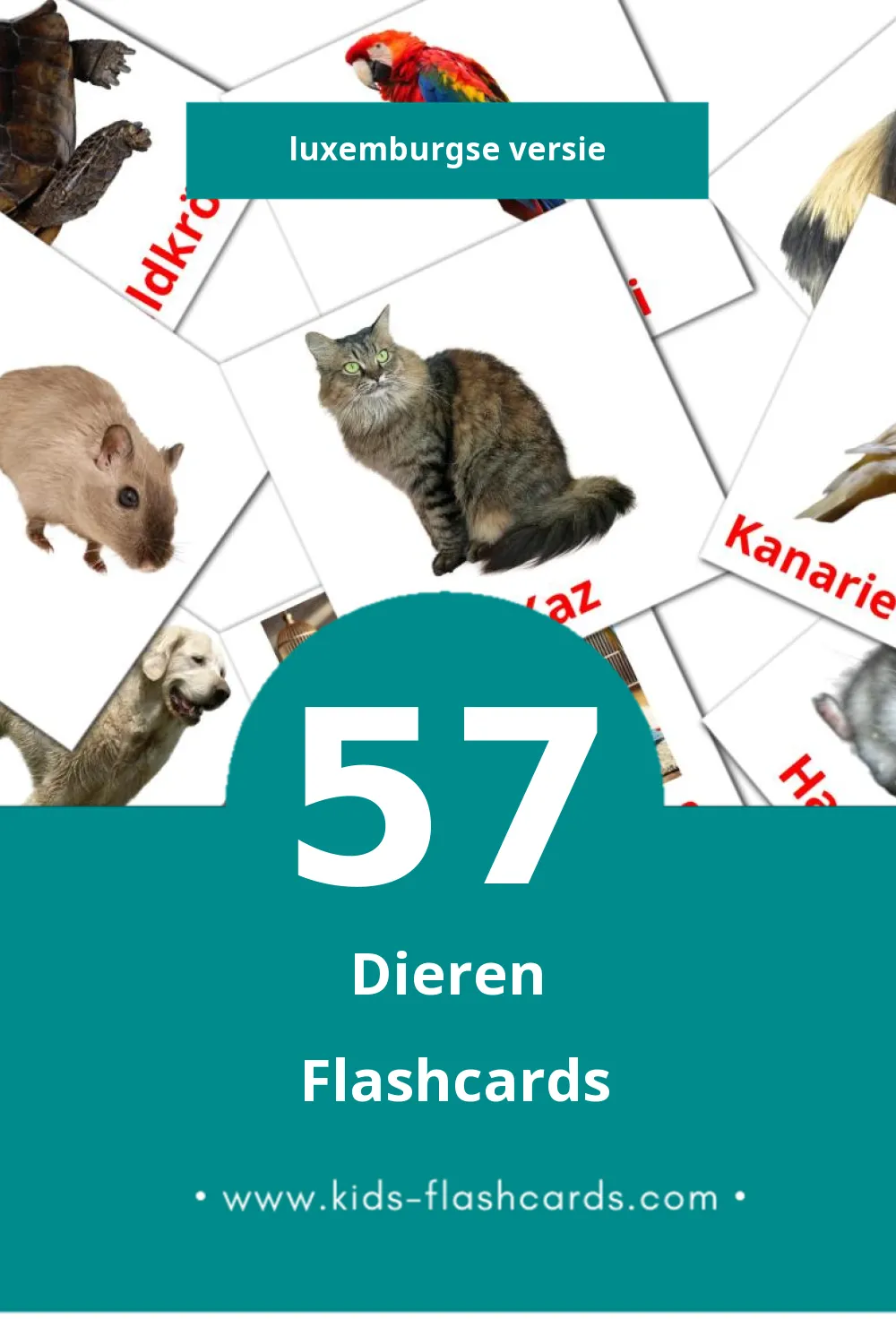 Visuele Déieren Flashcards voor Kleuters (57 kaarten in het Luxemburgs)