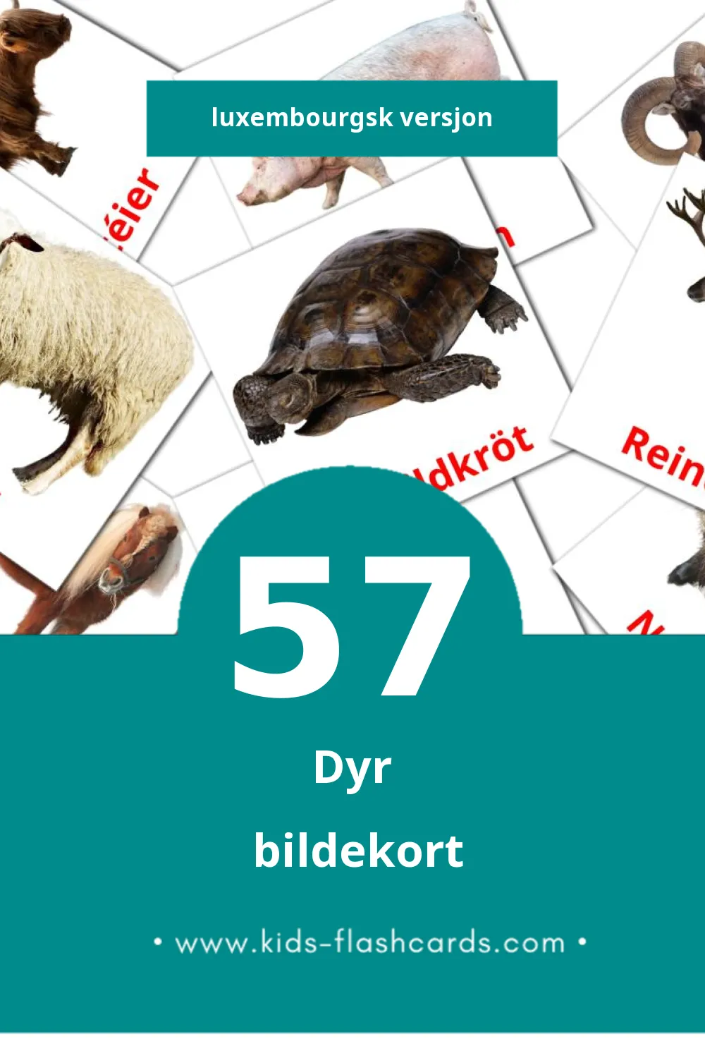 Visuelle Déieren bildekort for småbarn (57 kort på Luxembourgsk)