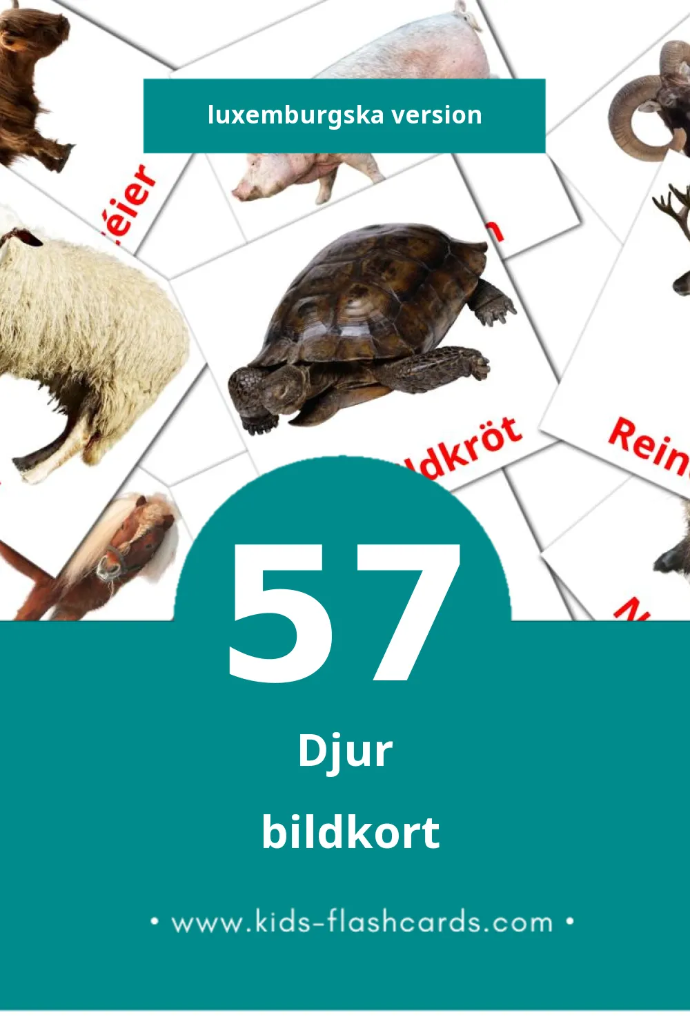Visuella Déieren för småbarn (57 bildkort för barn på Luxemburgska)