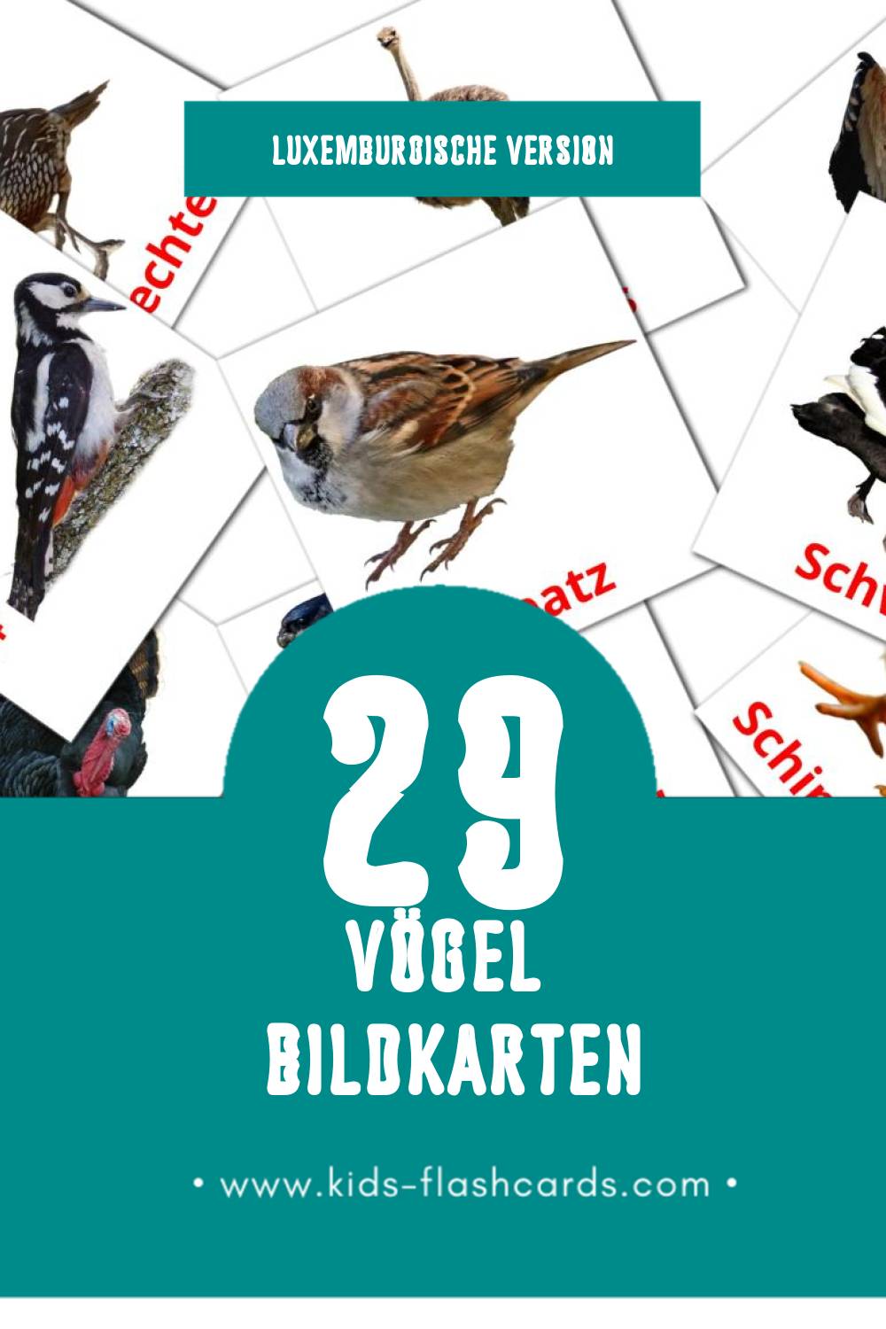 Visual Vullen Flashcards für Kleinkinder (29 Karten in Luxemburgisch)