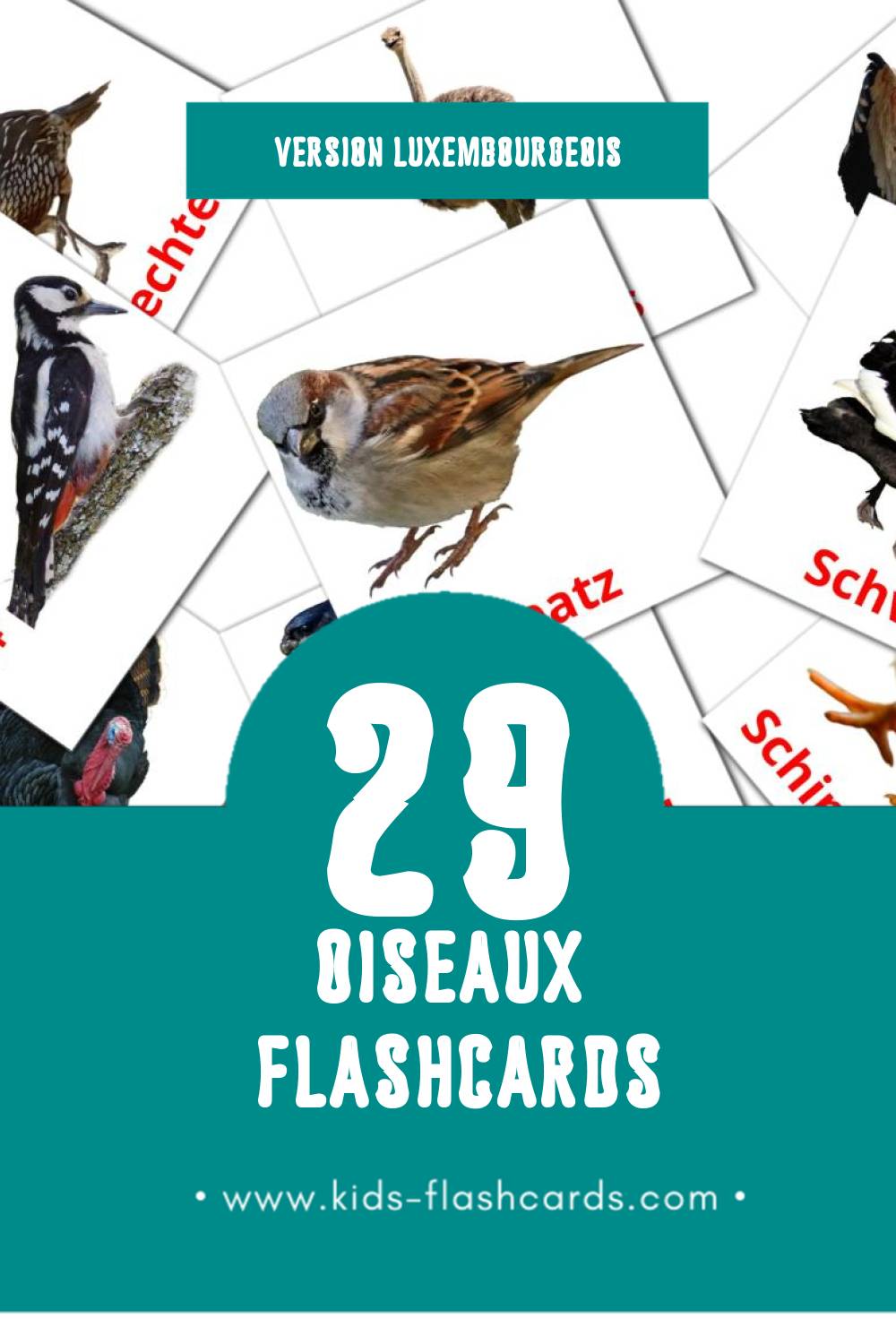 Flashcards Visual Vullen pour les tout-petits (29 cartes en Luxembourgeois)