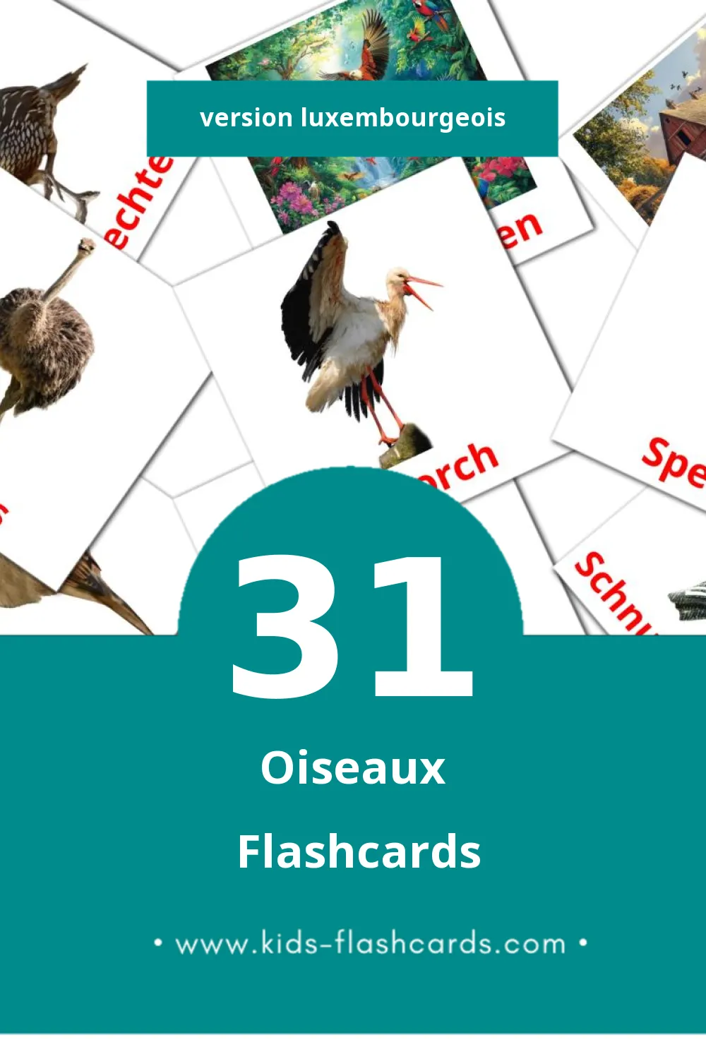 Flashcards Visual Vullen pour les tout-petits (31 cartes en Luxembourgeois)