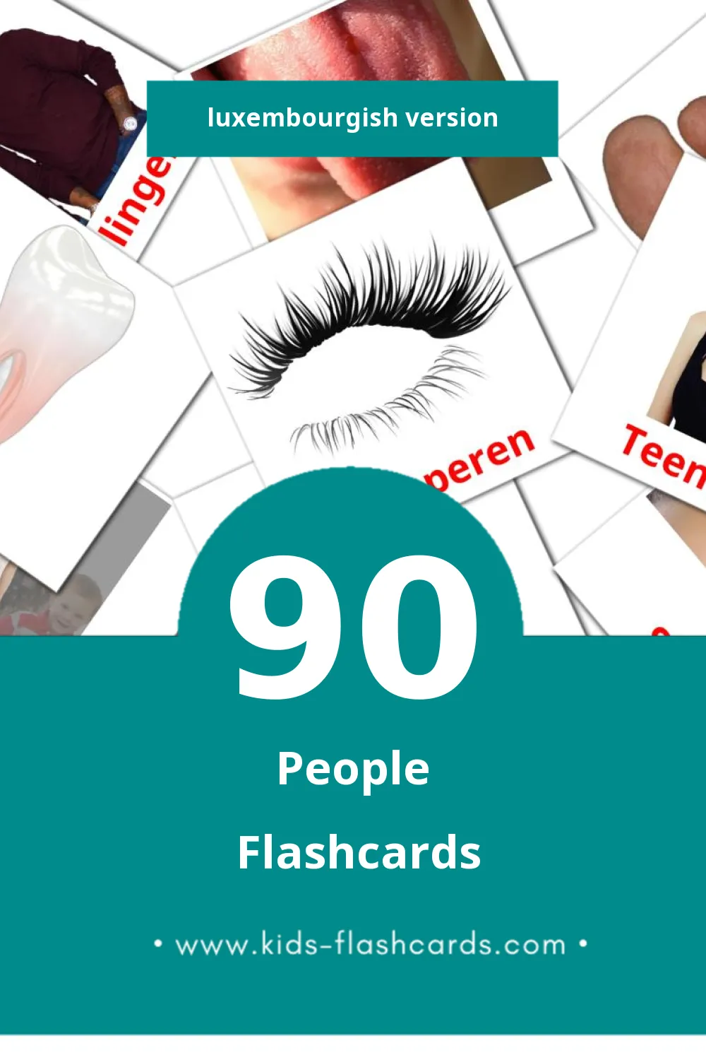 Visual Leit Flashcards for Toddlers (90 cards in Luxembourgish)