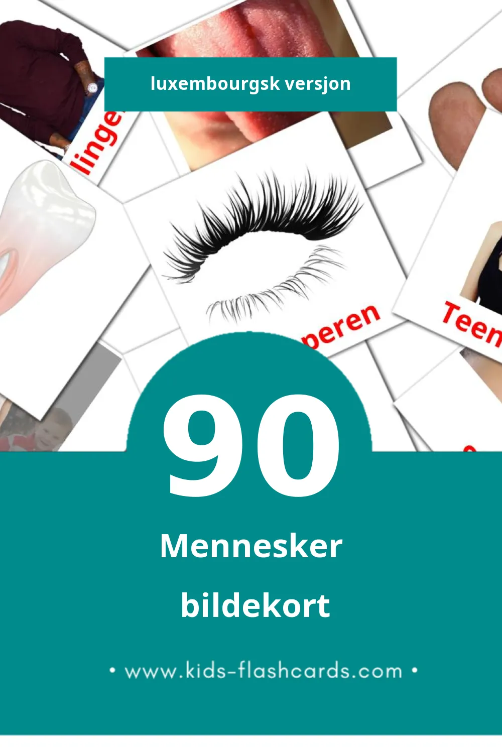 Visuelle Leit bildekort for småbarn (90 kort på Luxembourgsk)