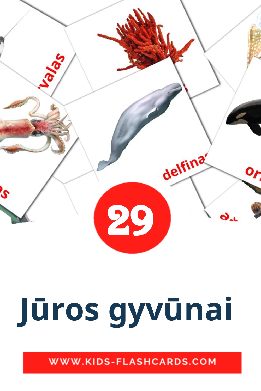 29 carte illustrate di Jūros gyvūnai  per la scuola materna in lituano
