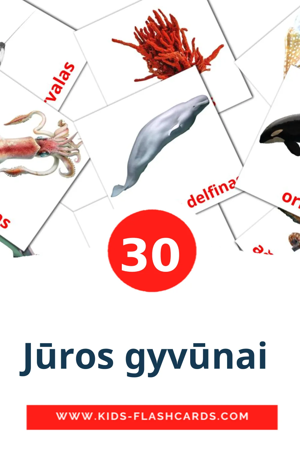 30 cartes illustrées de Домашние животные pour la maternelle en литовском