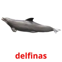 delfinas Tarjetas didacticas