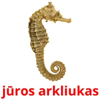 jūros arkliukas Tarjetas didacticas