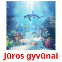 Jūros gyvūnai Tarjetas didacticas