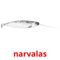 narvalas picture flashcards