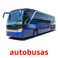 autobusas cartões com imagens