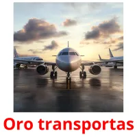 Oro transportas Bildkarteikarten