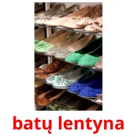 batų lentyna picture flashcards