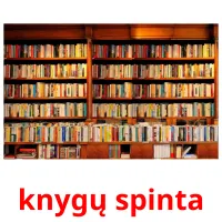 knygų spinta picture flashcards