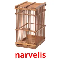 narvelis picture flashcards