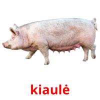 kiaulė card for translate