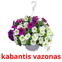 kabantis vazonas cartões com imagens