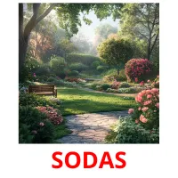 SODAS cartões com imagens