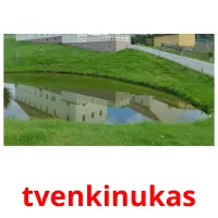 tvenkinukas cartões com imagens