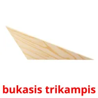 bukasis trikampis карточки энциклопедических знаний