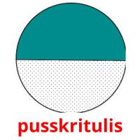 pusskritulis card for translate