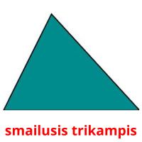 smailusis trikampis picture flashcards