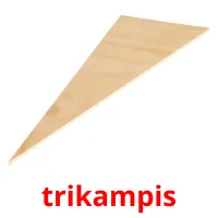 trikampis карточки энциклопедических знаний