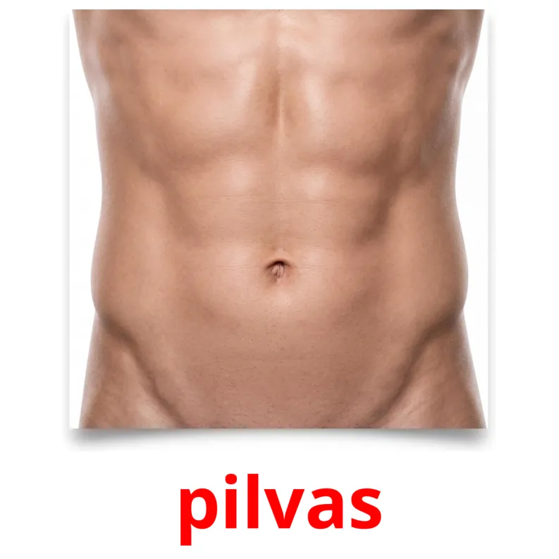 Pilvas 26 Flashcard GRATUITE sui Parti del corpo in 4 Formati PDF | Immagini ...