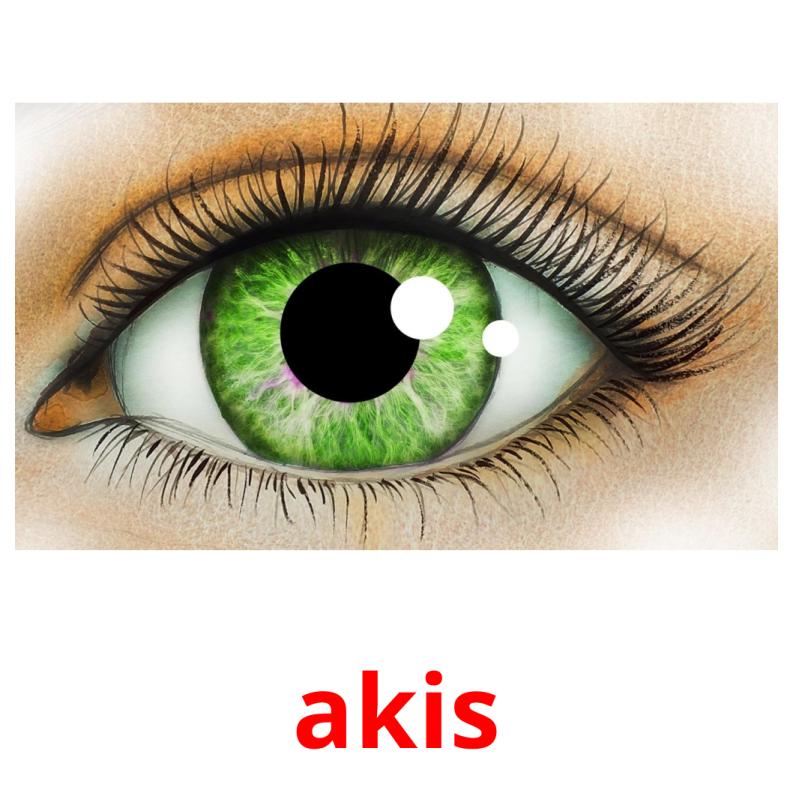 akis picture flashcards