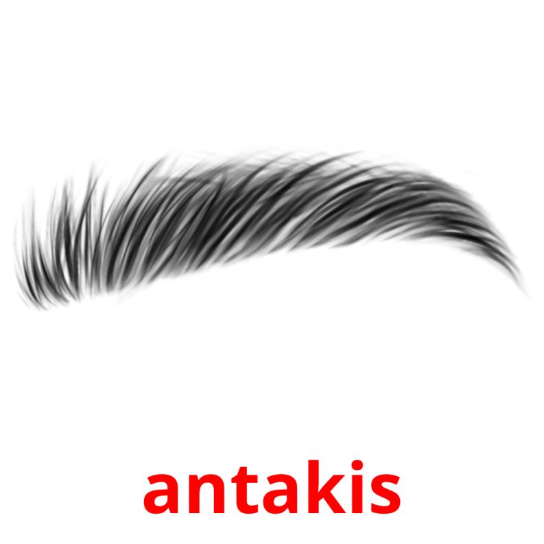 antakis picture flashcards