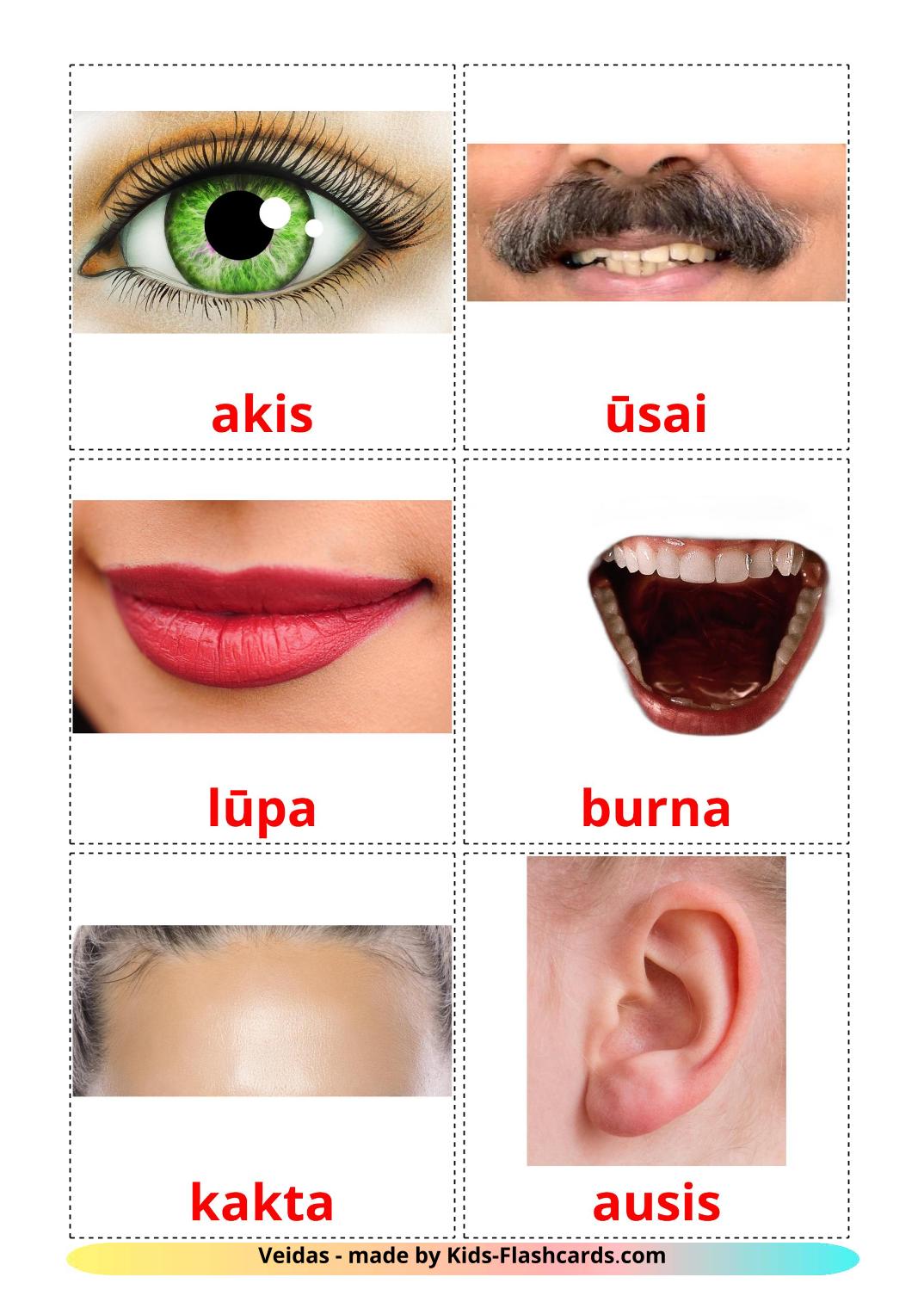 Face - 20 Free Printable lithuanian Flashcards 