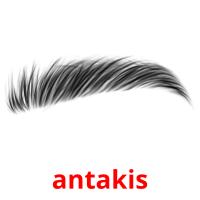 antakis card for translate