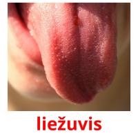 liežuvis card for translate