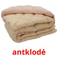 antklodė picture flashcards