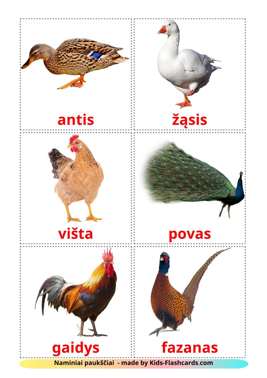 Les Oiseaux de Ferme - 11 Flashcards lituanien imprimables gratuitement