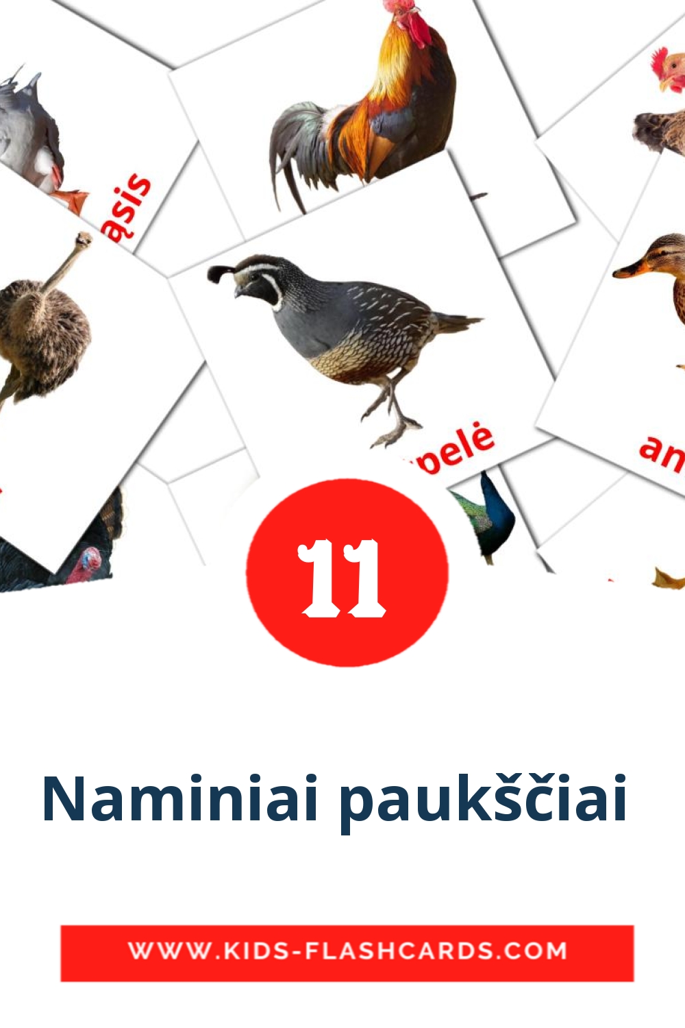 11 cartes illustrées de Naminiai paukščiai  pour la maternelle en lituanien
